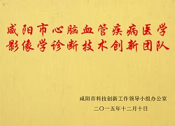 咸陽市心腦血管疾病醫(yī)學(xué)影像學(xué)診斷技術(shù)創(chuàng)新團(tuán)隊
