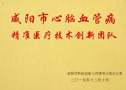 咸陽市心腦血管病精準(zhǔn)醫(yī)療技術(shù)創(chuàng)新團(tuán)隊