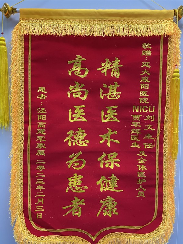 神經(jīng)重癥監(jiān)護NICU錦旗